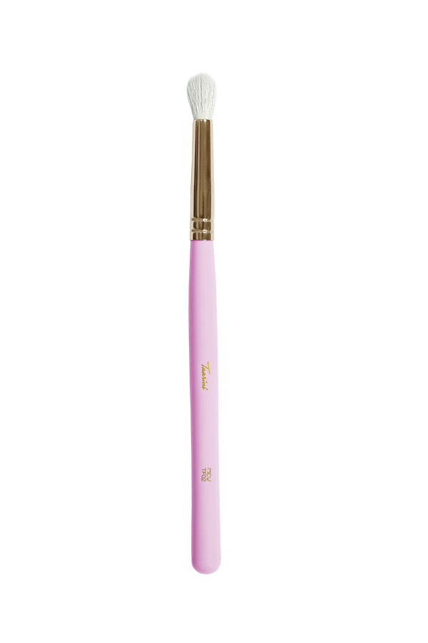 TF02 - Professional Eraser Brush